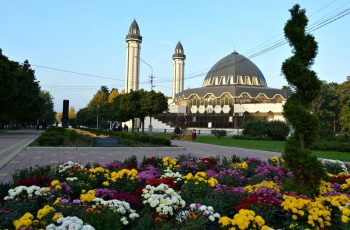 Новость профсоюза: НАЛЬЧИК   МАЙ    (18.05 по 23.05.2022)