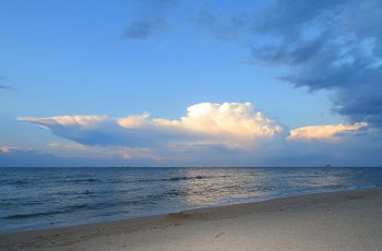 Новость профсоюза: Оздоровление и отдых на берегу Азовского моря