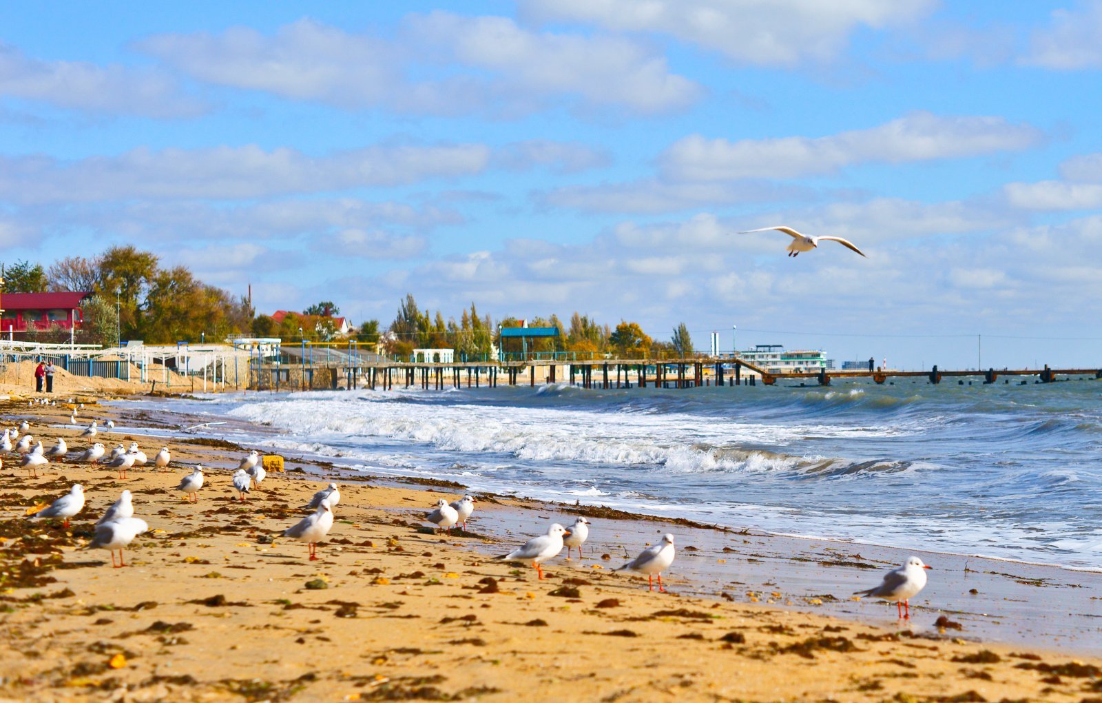 Новость профсоюза: ЗИМА 29.12.24-12.01.25